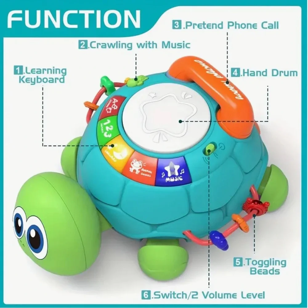 Toddler Play Learn Explore Educational Turtle